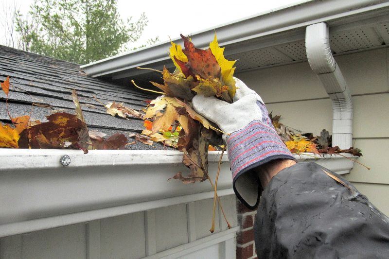 Eavestrough Clearing in Boulder, CO